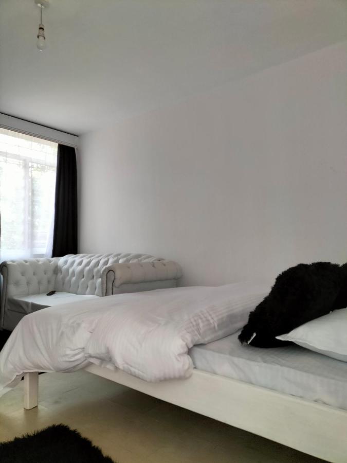 Apartment Johari And Shared Westlands *