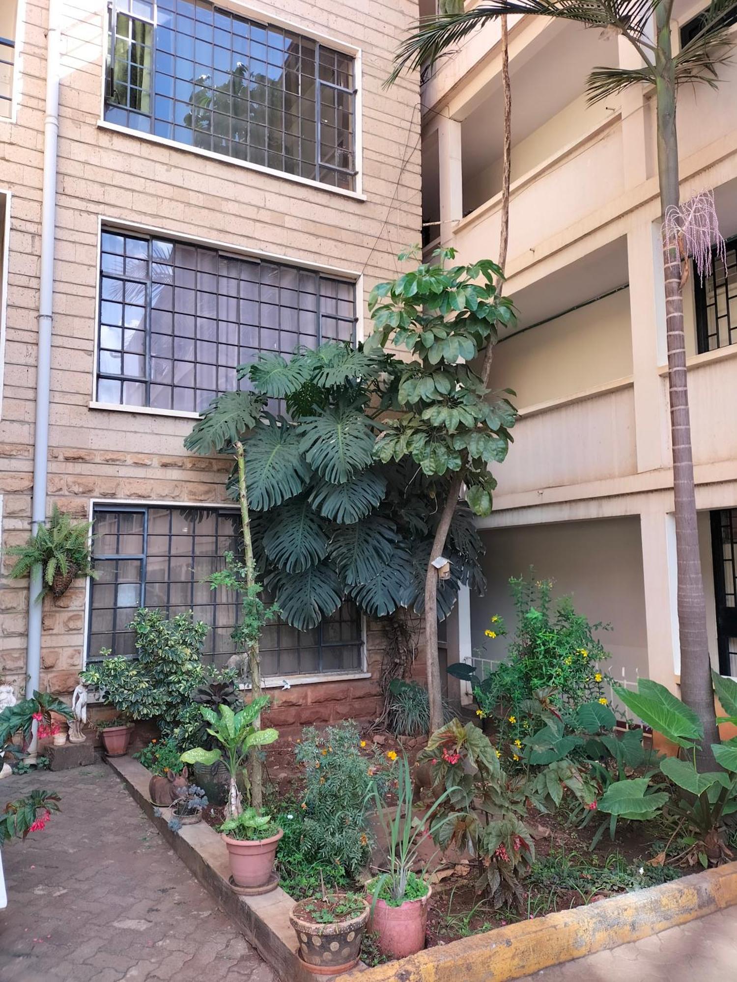 Johari And Shared Westlands Apartment