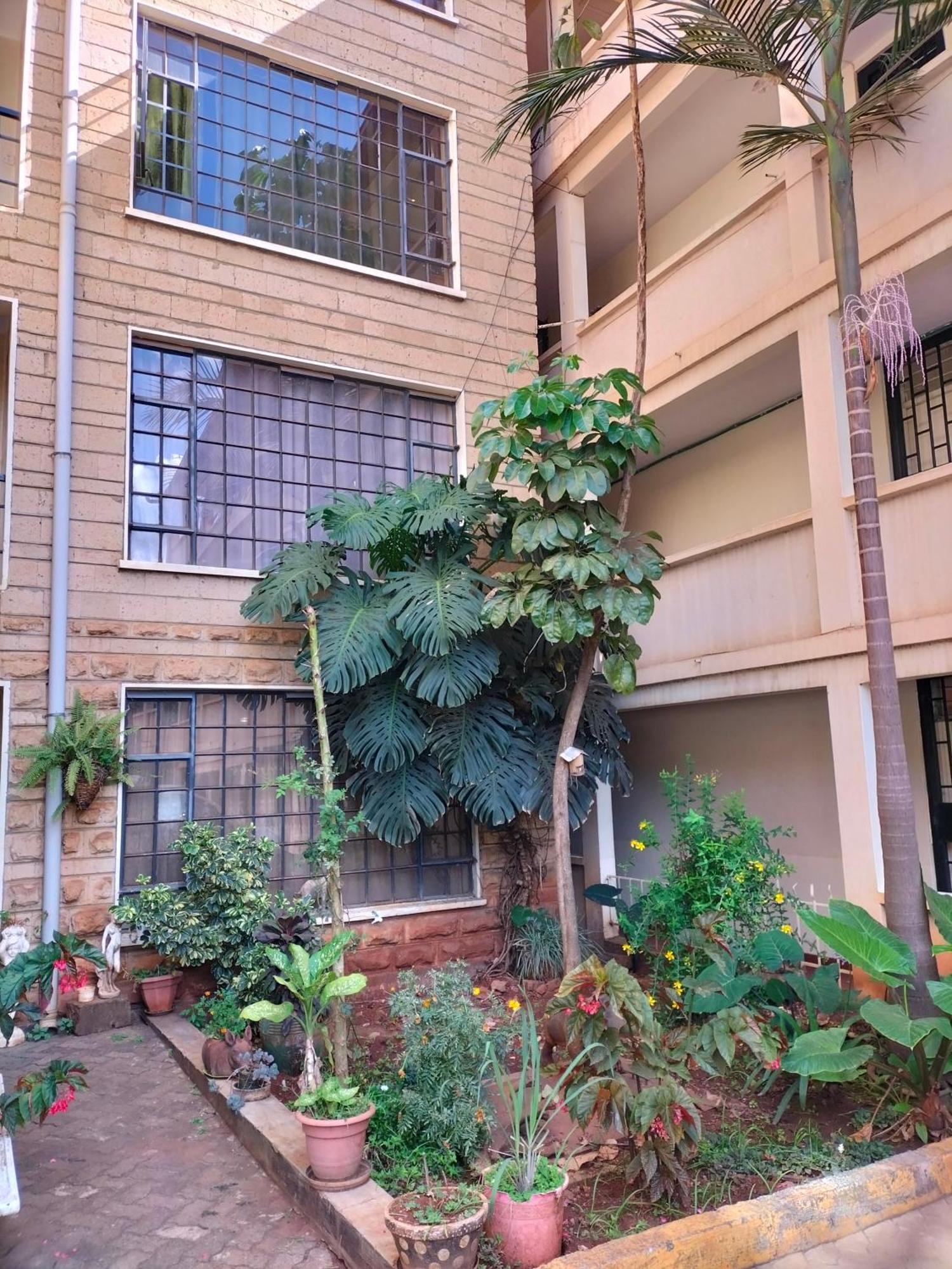 Johari And Shared Westlands *
